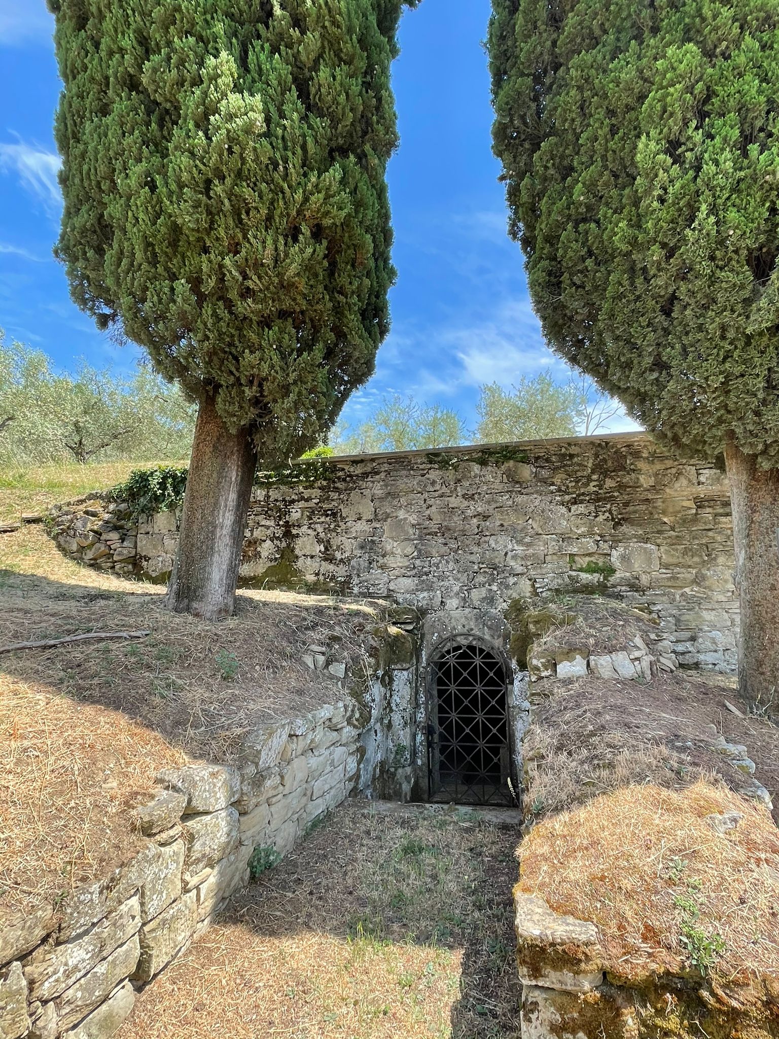 tomba etrusca_banner.jpg